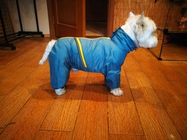 Aramis  suņu apģērbs -  lietusmētelis,kombinezons,L